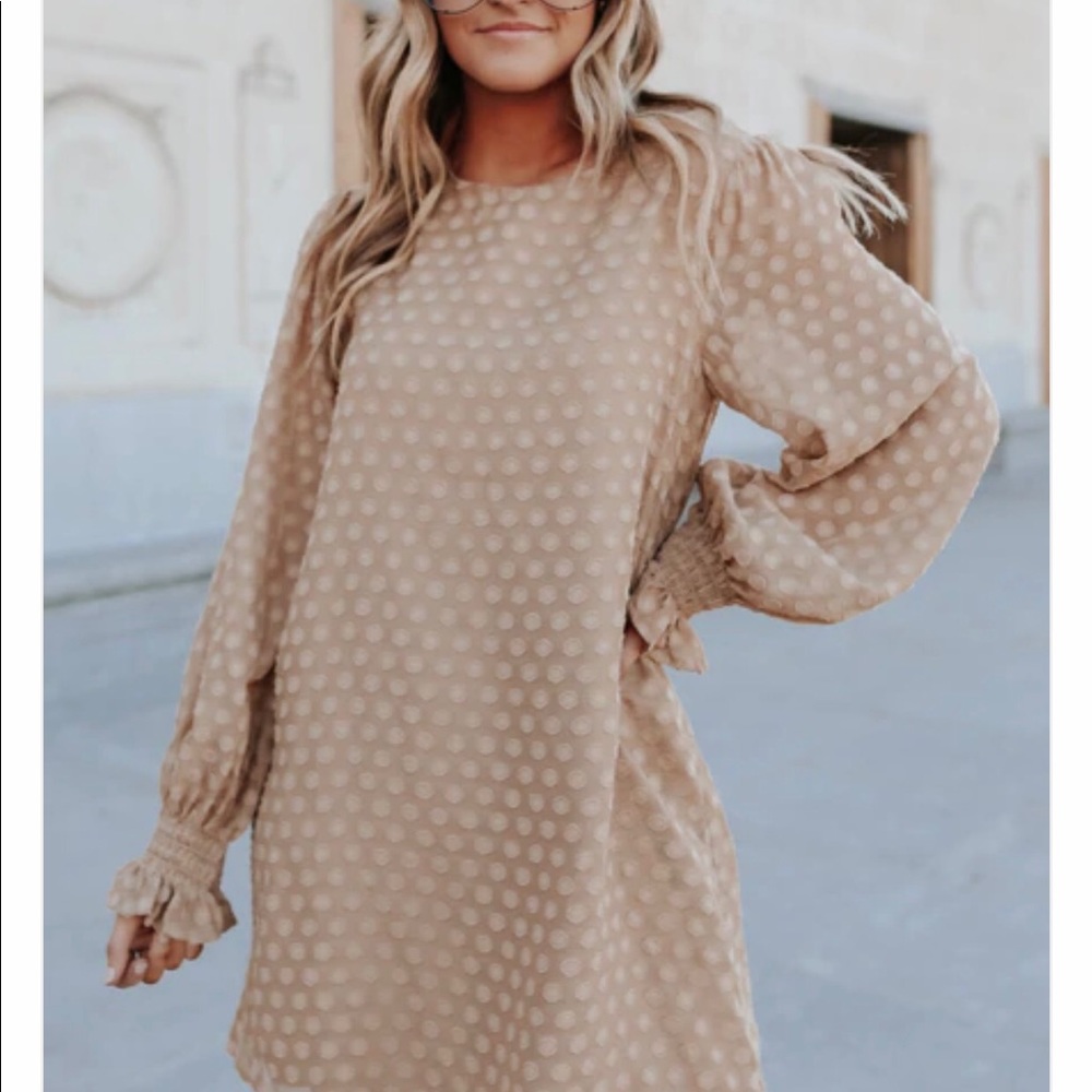 Taupe Dotted Shift Dress